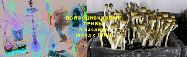 твердый Алексин