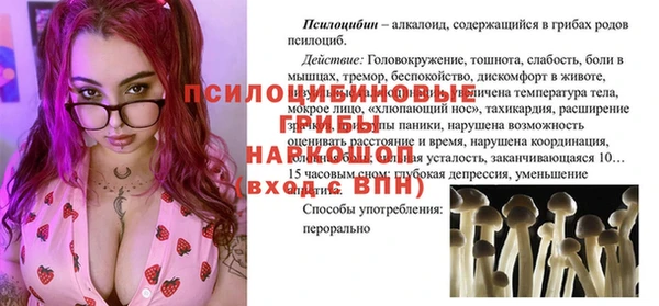 твердый Алексин
