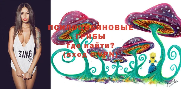 спиды Алексеевка