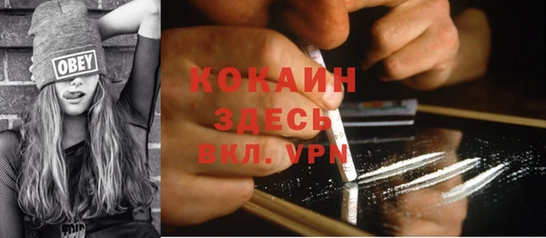твердый Алексин